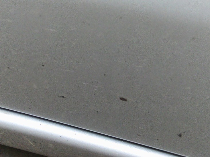 Tips Membersihkan Noda Aspal di Mobil